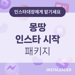 인스타 몽땅 패키지